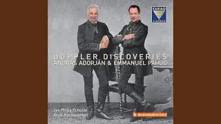 Andante et Rondo, Op. 25: Rondo