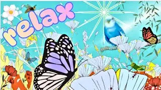 Relaxing Nature Scene with Butterflies and Flowers | 1 Hour Peaceful Meditation Video