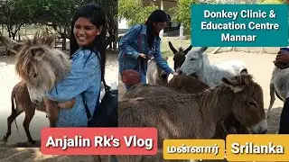 Donkey Clinic & education centre |Tourist places | Mannar | Travel with wife | Anjalin Rk | Srilanka