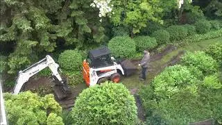Bobcat rescue, 2020