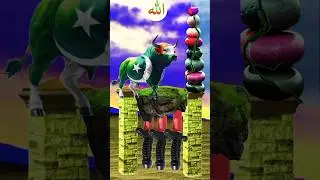 viral Islamic shorts #duet #reciter #ytshorts