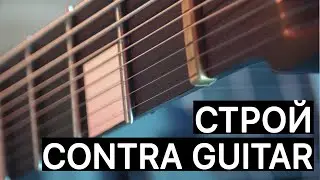 СТРОЙ CONTRAGUITAR, чехол, струны
