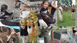 ANIMAL LAND || JAS HAVING FUN
