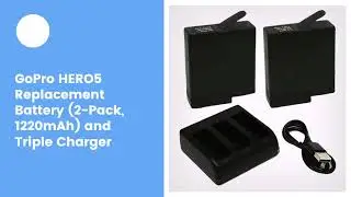 GoPro HERO5 Replacement Battery (2-Pack, 1220mAh) and Triple Charger