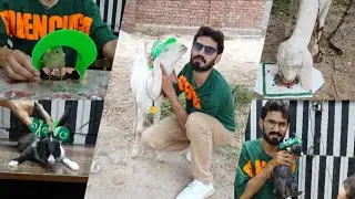 14Aug apne pets k sath celebrate ki #viral #youtube #fyp #trending #vlog #pets #petsvlog #foryou 