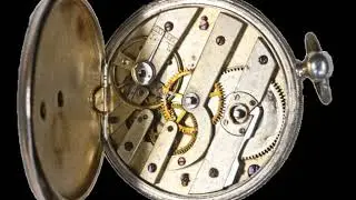 Complex specified information | Wikipedia audio article