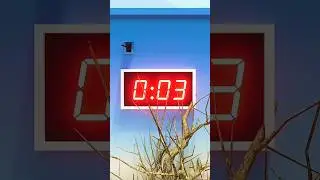 Game End SKIBIDI TOILET vs CAMERAMAN in SQUID GAME best game for all devices android iOS window