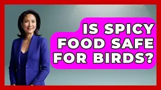 Is Spicy Food Safe For Birds? - Bird Watching Diaries