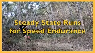 Steady State Runs For Speed Endurance