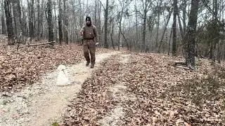 Golden Retriever Lexie Completes Weeks 5-6 of Clicker Training!