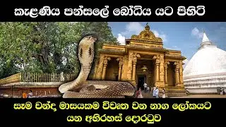 Kelaniya temple - කැළණිය පන්සලේ බෝධිය යට පිහිටි නාග ලෝකයට යන අභිරස් දොරටුව