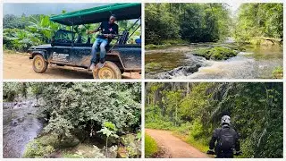 This Is Ghana&rsquo;s Richest Rainforest Which You Must Visit - Ankasa Rainforest