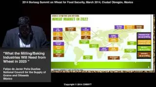 What the Milling/Baking Industries Will Need from Wheat in 2025 by Felipe de Javier Pe&ntilde;a Due&ntilde;as