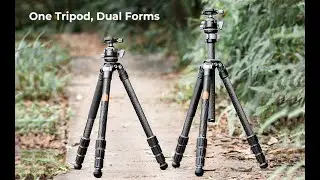 K&F Concept treppiede in fibra di carbonio serie X gimbal modello X284C2+BH-40L con gimbal BH-40