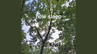now sleep
