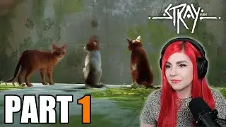 Stray First Playthrough with CAT CAM 🐱 Day 1