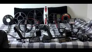 Metal Detecting, DFX ,Equinox, MXT, (15 years of Experience)