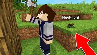 ASSUSTEI MEU AMIGO DISFAR&Ccedil;ADO DE FORMIGA NO MINECRAFT !!!