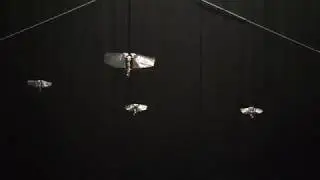 DelFly Nimble x4