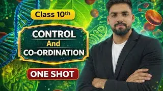 Control and cordination