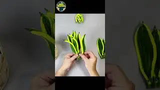 DIY Snake Plant Pot Using Pipe Cleaners &ndash; So Beautiful! #diy #hoahandmade #flowers