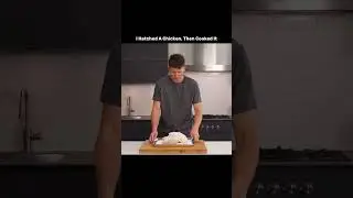 @NickDiGiovanni вылупил цыплёнка, а затем ПРИГОТОВИЛ ЕГО! 😮