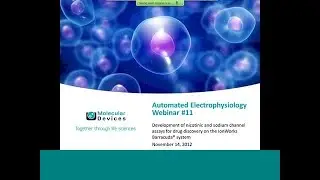 Development of Nicotinic and Sodium Channel Assays for Drug Discovery