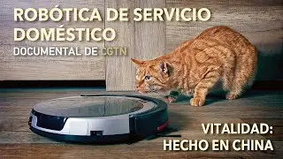 Vitalidad: hecho en China | Rob&oacute;tica de servicio dom&eacute;stico