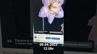 Ostervideo (Morgen 10:00 Uhr)(#shorts)