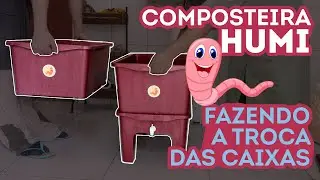 COMPOSTEIRA HUMI | TROCA DE CAIXAS