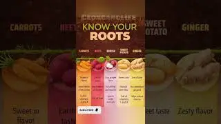 Know Your Roots 🌱 Powerful Root Vegetables #ytshorts #food #facts #roots #trendingshorts #healthy 