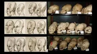 Nonsense PNAS Tabloid Science Journalism Doesn't Explain Elongated Skulls Found Around Germany