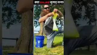 Unlimited Chicken Food & Eggs for FREE | Smart Farming Hack 2025