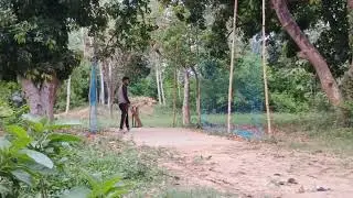 six hitting machine Asfak #trending #cricket #livetv #viral #cricketlover #ipl #six #sports