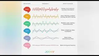  Alpha brain waves Self-awareness neuroscience Parietal cortex brain function Body ownership 