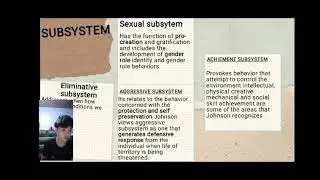 DOROTHY E. JOHNSON THEORY OF BEHAVIORAL SYSTEM MODEL REPORTER 6