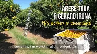 PNG workers in Queensland