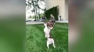 Cute and Funny TurboRoo Videos!! 02