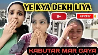 Ye lya kya dekh liya humne#dailyvlog #viral #vlogsindia 