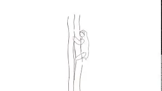 Sloth animation