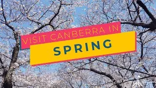 The Magnificent Flower Festivals in Canberra During the Spring Season