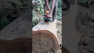 Stihl chainsaw woodcutter ms382 #sthilms382 #chainsaw #powertool #treecutting #trees #treeremoval