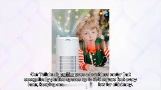 Tailulu D09 Air Purifier for Large Rooms