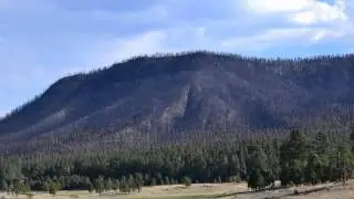 Wallow Fire Aftermath in Alpine, Arizona, USA