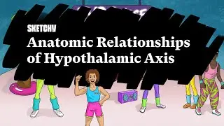 Understanding the Hypothalamic-Pituitary Axis Function | Sketchy Medical | USMLE Step 1