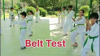 Belt test green