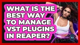 What Is The Best Way To Manage VST Plugins In Reaper? - Electronic Mix Masters