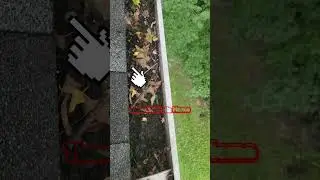 Intro to Bugs in Gutter #spider #hidden #hiding #spot #scary #web #keepwatching #dontgiveup #new #my