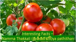Fascinating Tomato Facts You Didn't Know! | Tomato Trivia | KSVT Life