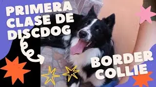 Clase 1 , aprendiendo el arte del frisbee (DISCDOG)